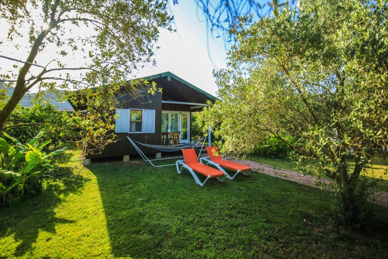 Cirali Zakkum Bungalow Εξωτερικό φωτογραφία