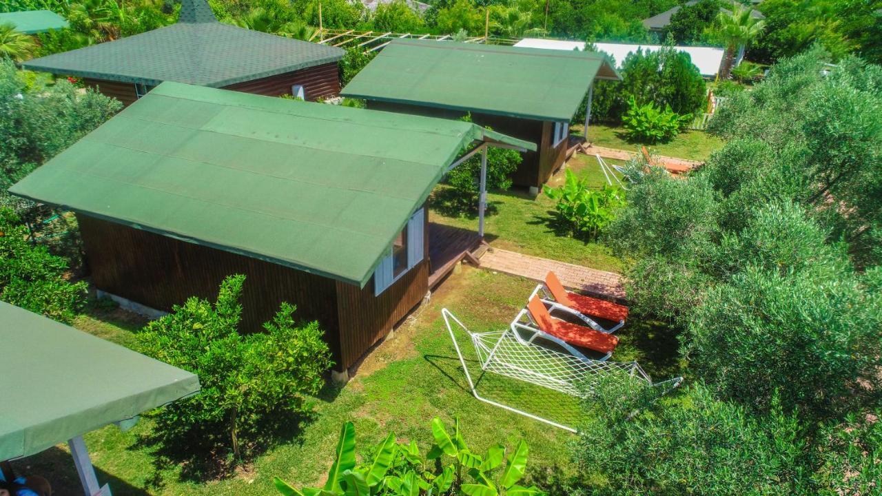 Cirali Zakkum Bungalow Εξωτερικό φωτογραφία