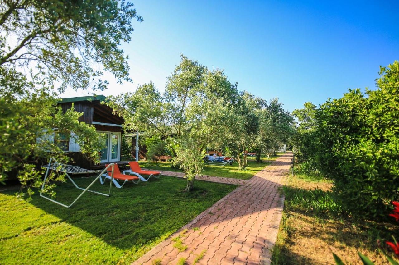 Cirali Zakkum Bungalow Εξωτερικό φωτογραφία